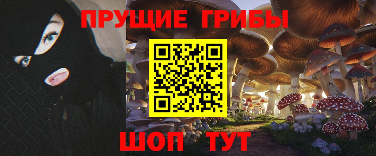 Фрязино  Псилоцибиновые грибы GOLDEN TEACHER  Вход с VPN  Галлюциногенные грибы Psilocybine cubensis 